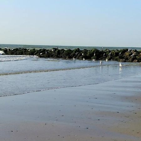 Sunny Bank Westende Zeezicht Мідделкерке Екстер'єр фото